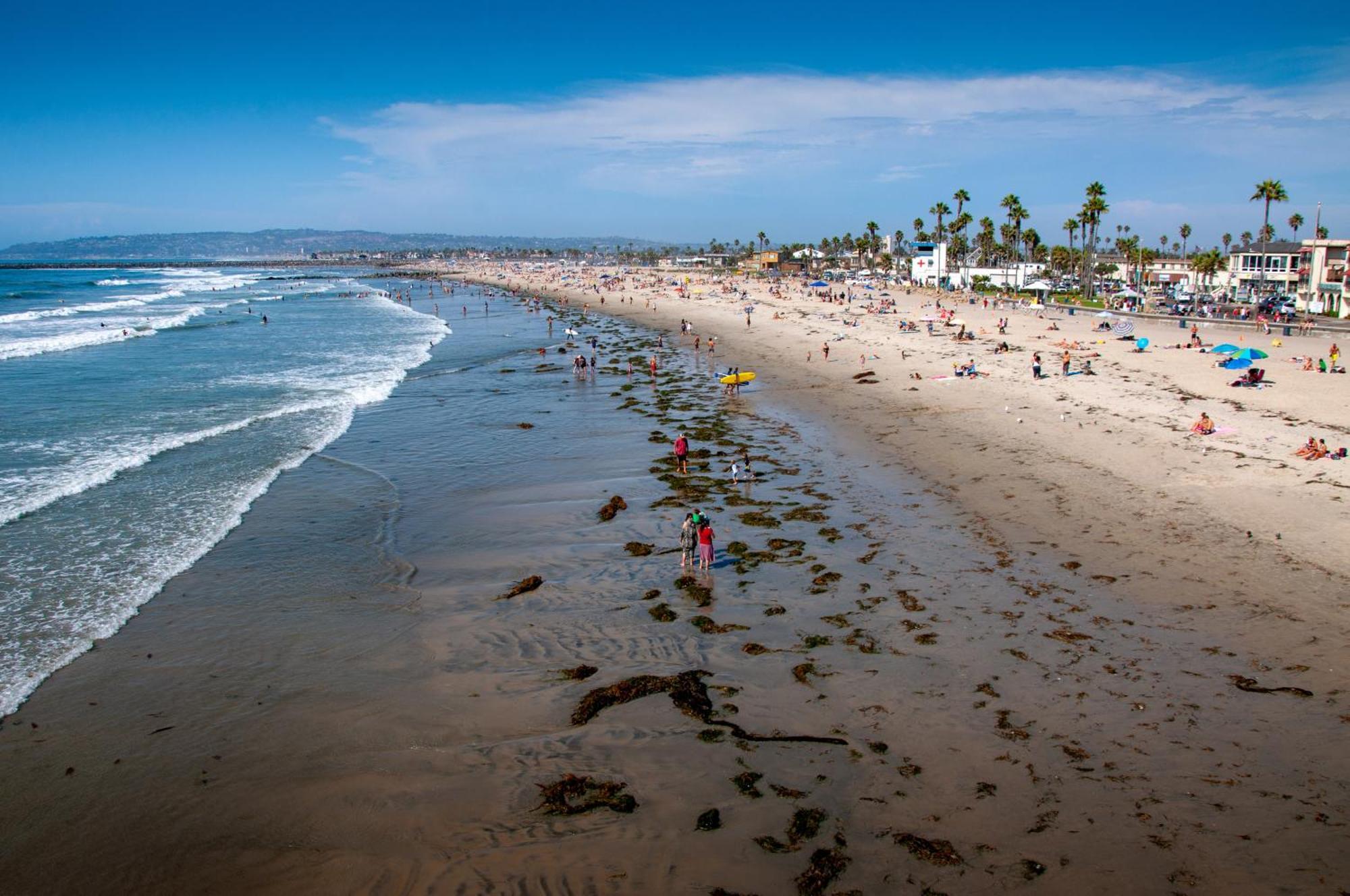 Modern Ocean Beach Apartment San Diego Dış mekan fotoğraf